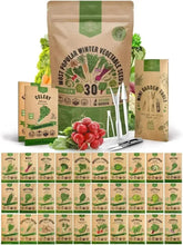 Zucchini seeds - Organo Republic seeds store Zucchini seeds